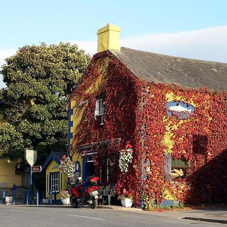 Kingfisher Lodge & Pub Castleconnell Bagian luar foto
